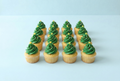 Mini-Cupcakes